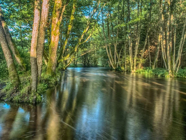 Árvores Que Refletem Uma Água Viagem Canoagem Rio Wieprza Hora — Fotografia de Stock