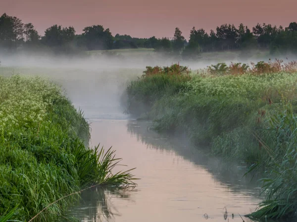 Mistige Ochtend Het Platteland Toczna Rivier Patkow Podlasie Podlachia Polen — Stockfoto