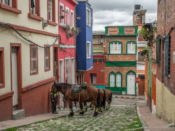 Bogota Colombia May 2016 Colorful Houses Horses Street Bogota — Stock Photo, Image