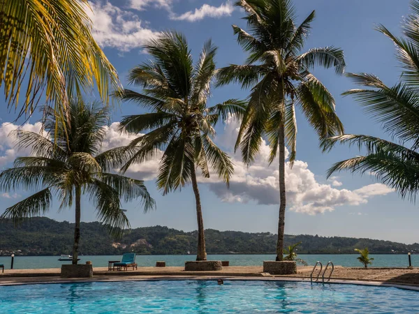 View Palm Trees Luxury Swimming Pool Tropical Island Ambon Island — 스톡 사진