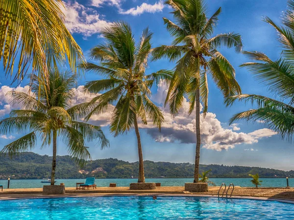 View Palm Trees Luxury Swimming Pool Tropical Island Ambon Island — 스톡 사진