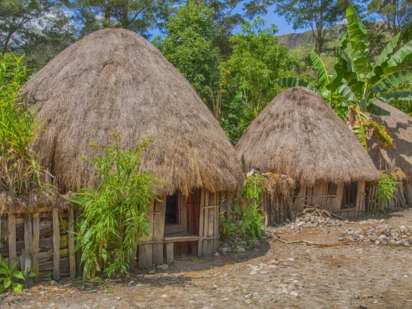 Wamena Indonesia January 2015 Cottage Covered Dry Leaves Banana Dani — Fotografie, imagine de stoc