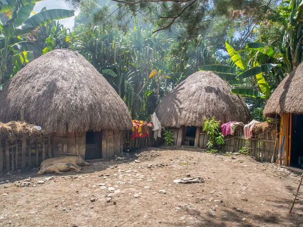 Wamena Indonesia January 2015 Cottage Covered Dry Leaves Banana Dani — Φωτογραφία Αρχείου