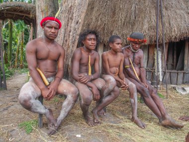 Wamena, Endonezya - 23 Ocak 2015: Dani kabilesi erkekleri barakalarının önünde ayinsel kostümlerle oturuyorlar - coteka, Koteka. Baliem Vadisi, Batı Papua. Dani halkı da Ndani diye heceleniyor.,
