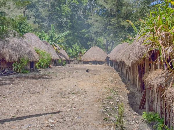 Wamena Indonezja Stycznia 2015 Domek Pokryty Suchymi Liśćmi Banana Wiosce — Zdjęcie stockowe