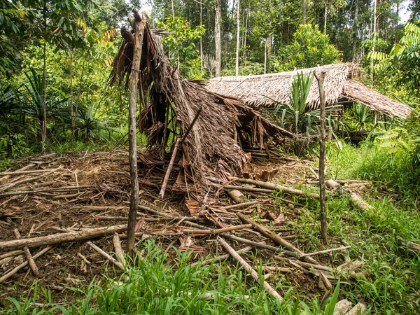 Giungla Indonesia Gennaio 2015 Case Sugli Alberi Così Tribù Korowaya — Foto Stock