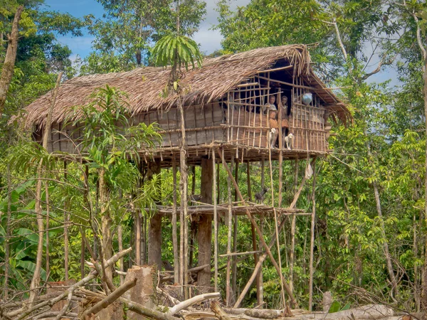 Dzsungel Indonézia Január 2015 Házak Fák Így Korowaya Törzs Épít — Stock Fotó