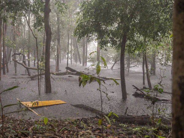 Rainy season in the Amazon jungle. Heavy rain over the Jaguar\'s lagoon. Brazil. South America.