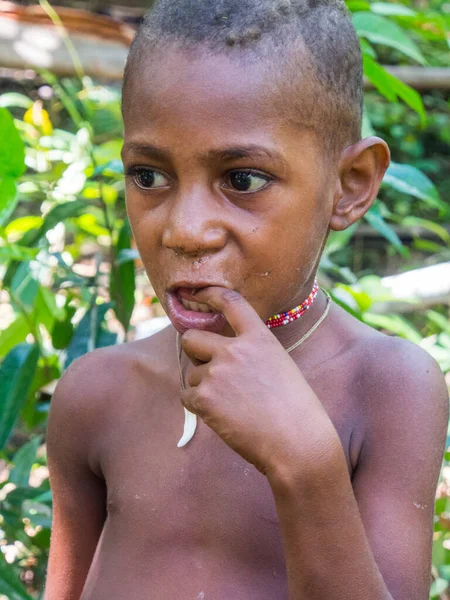 West Papua Indonesien Januar 2015 Porträt Eines Kleinen Rotzigen Jungen — Stockfoto