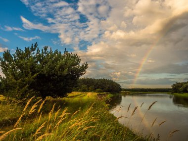 Böcek nehrinin üzerinde gökkuşağı. Podlasie. Podlachia. Polonya, Avrupa. Bölgeye Podlasko veya Podlasze denir. Panoramik görünüm.