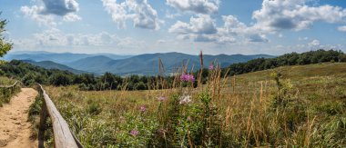 Panoramic view from hiking trail to Tarnica mount, Bieszczady Mountains, Carpathians, Poland. Europe, Podkarpackie Voivodeship,