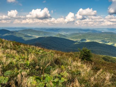 Polonya 'nın Bieszczady İlçesi, Bieszczady Dağları' ndaki Polonina Carynska yürüyüşünden görüntüler. Avrupa, Podkarpackie Voyvoda, Bieszczady, Karpatlar,