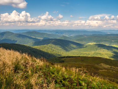 Polonya 'nın Bieszczady İlçesi, Bieszczady Dağları' ndaki Polonina Carynska yürüyüşünden görüntüler. Avrupa, Podkarpackie Voyvoda, Bieszczady, Karpatlar,