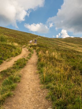 Polonya 'nın Bieszczady Dağları' ndaki Polonina Carynska 'daki yürüyüş yolundan bir görüntü