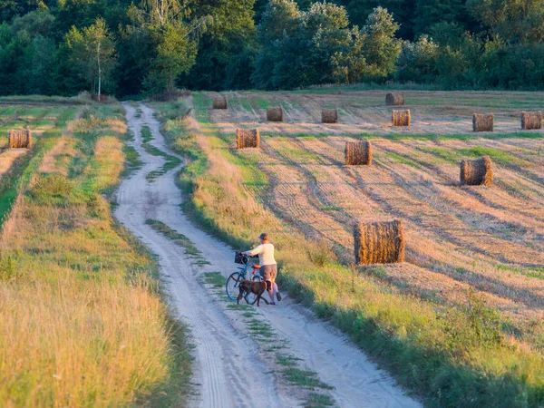 Woman Dog Bicycle Countryside Road Podlasie Podlachia Poland Europe Region — Stok fotoğraf