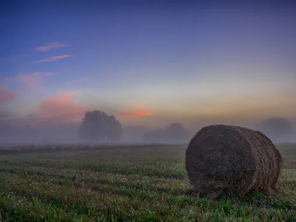 Foggy Morning Countryside Podlasie Podlachia Poland Europe Region Called Podlasko — Stok fotoğraf