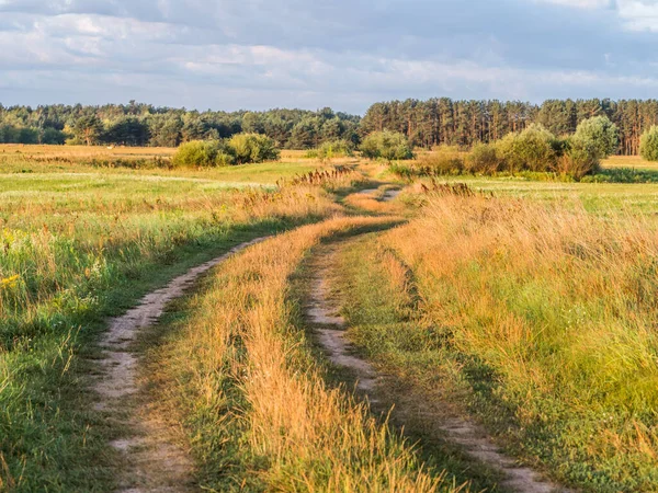 Kırsal Bir Yol Podlasie Podlachia Polonya Avrupa Bölgeye Podlasko Veya — Stok fotoğraf