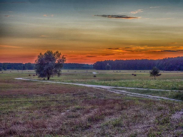 Uma Estrada Rural Podlasie Podlachia Polónia Europa Região Chamada Podlasko — Fotografia de Stock