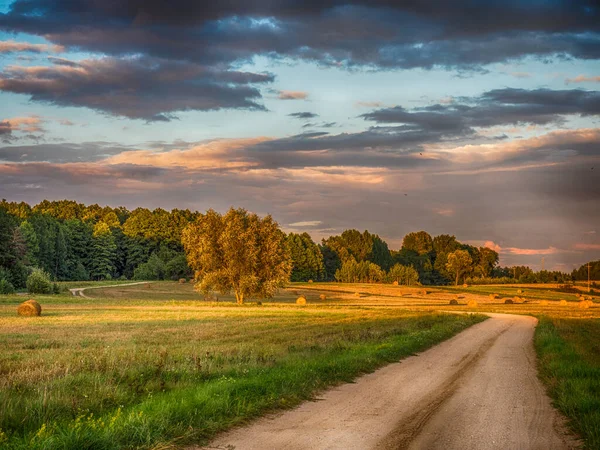 Kırsal Bir Yol Podlasie Podlachia Polonya Avrupa Bölgeye Podlasko Veya — Stok fotoğraf