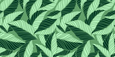 Hassas yaprakları olan zarif, pürüzsüz bir desen. Kumaş, duvar kağıdı, baskı, kapak, pankart ve davetiye için Vektör El çiçek arkaplanı çizdi.