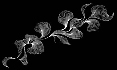 Dinamik doğrusal dalgalarla soyut arkaplan. Vektör el çizimi minimalist doğrusal şekilde çizilmiş. Moda çizgisi sanat tasarımı ögesi.