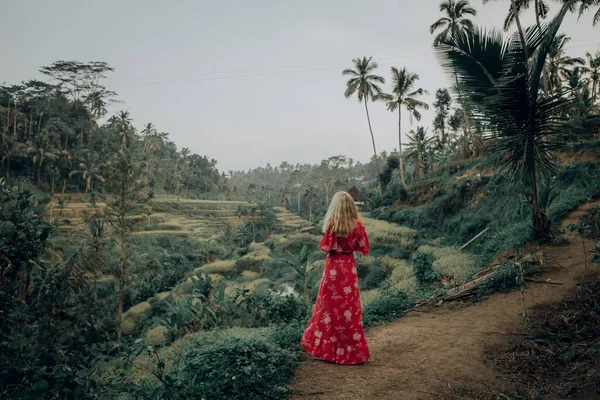 Young Woman Flown Dress Walking Tall Grass Field — Stok Foto