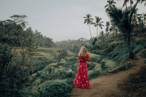 Wanita Muda Bergaun Terbang Berjalan Melalui Lapangan Rumput Tinggi — Stok Foto