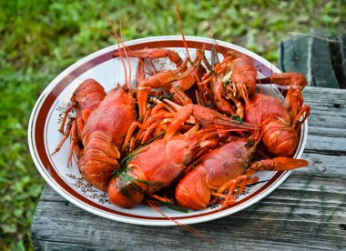 haşlanmış kerevit