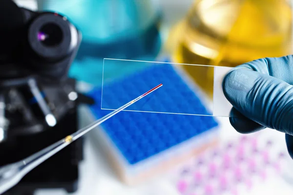 Scientific preparing the sample — Stock Photo, Image