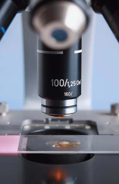Mikroskoplinse – stockfoto