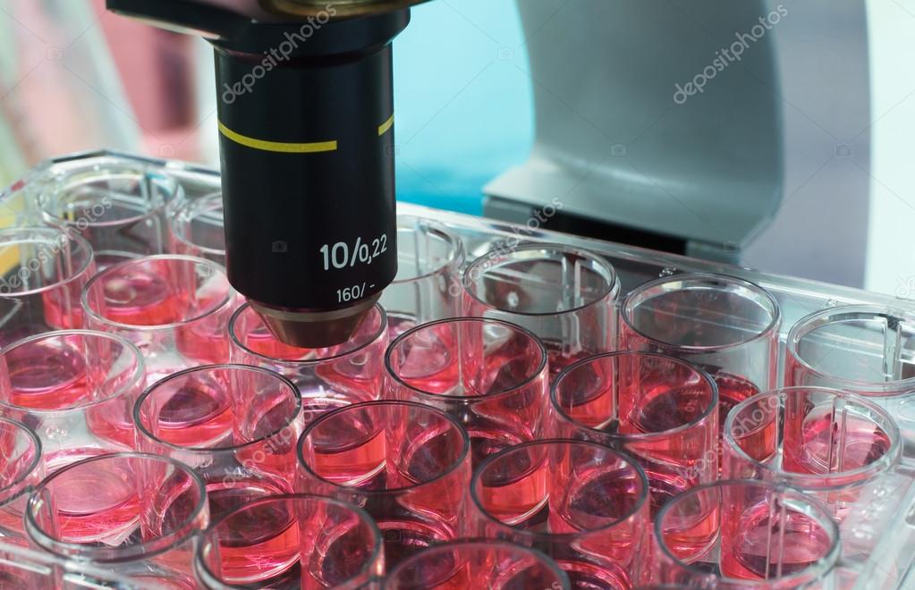 Microbiology laboratory Stock Photo by ©angellodeco 25851401