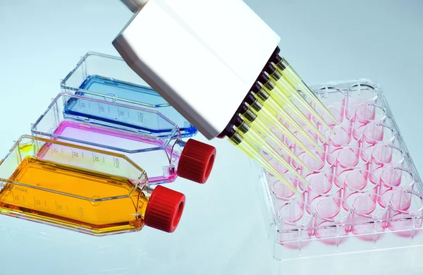 Labware in background blue — Stock Photo, Image