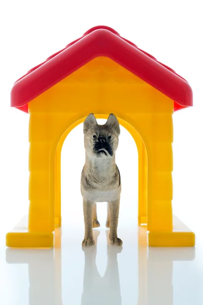 Toy guard dog — Stock Photo, Image