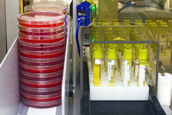 Processamento automático de amostras biológicas — Fotografia de Stock