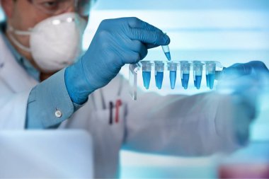 Bilimadamları genetik biyoteknoloji laboratuvarında bilimsel verilerle sanal ekranda PCR tüpü tutuyor. Genetik mühendisinin elleri genetik mühendisliği laboratuvarında Whit mikro tüplerinde çalışıyor.