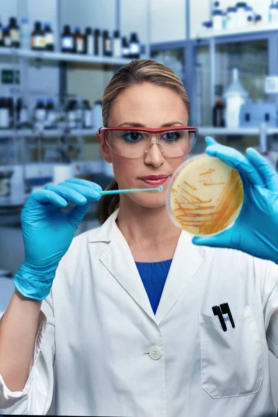 Microbioloog Planten Petrischaal Voor Teelt Van Cultuur Het Lab Laboratoriumtechnicus — Stockfoto