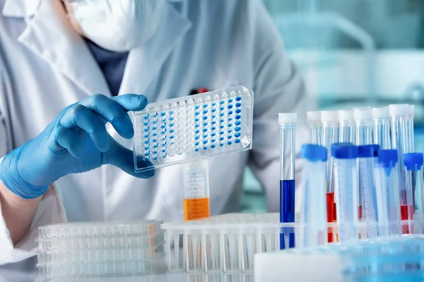Hand Researcher Working Microplate Elisa Analysis Doctor Working Panel Microplate — Stock Photo, Image