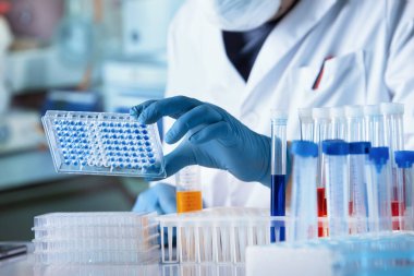 Laboratuvarda hastalık teşhisi için mikro plaka paneli üzerinde çalışan bir araştırmacı. Elisa analizi için mikroplaka üzerinde çalışan bir doktor.