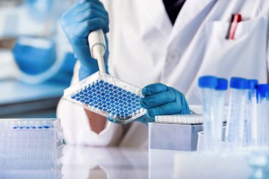 Genetik bilimci genetik laboratuarında mikro plaka üzerinde çalışıyor. Genetik laboratuvarında mikro levhada doku örnekleriyle çalışan bir araştırmacı.