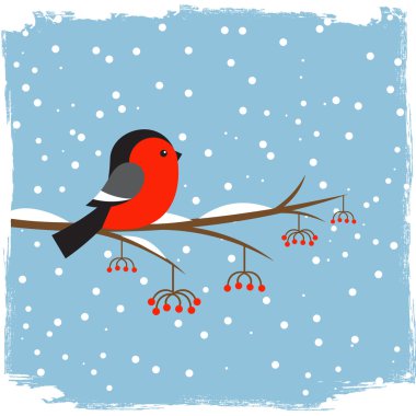 Şube rowan üzerinde şirin şakrak kuşu