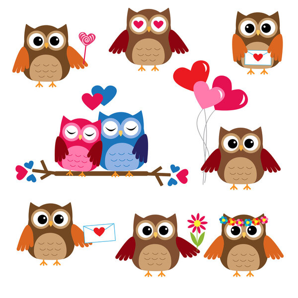 Cute owls for Valentine day