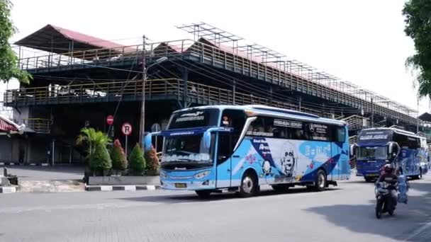 Yogyakarta Indonesien November 2021 Zwei Blaue Busse Fuhren Nacheinander Durch — Stockvideo