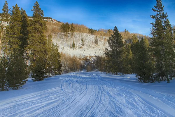 Pistas de motos de nieve —  Fotos de Stock