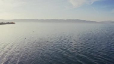 Low aerial shot of a lake with ducks