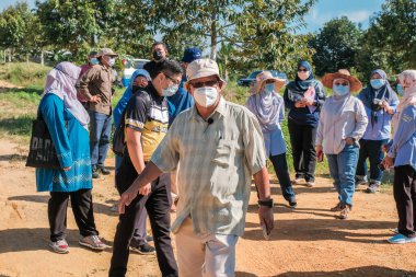 Muadzam Şah, Malezya - 6 Ekim 2021: Durian ve Muadzam Şah 'taki ananas bahçelerinde biyo-güvenlik bölümünden tarım memurlarının ziyareti