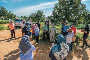 Muadzam Şah, Malezya - 6 Ekim 2021: Durian ve Muadzam Şah 'taki ananas bahçelerinde biyo-güvenlik bölümünden tarım memurlarının ziyareti