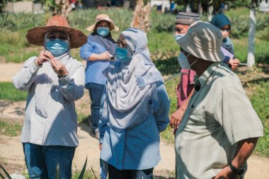 Muadzam Şah, Malezya - 6 Ekim 2021: Durian ve Muadzam Şah 'taki ananas bahçelerinde biyo-güvenlik bölümünden tarım memurlarının ziyareti
