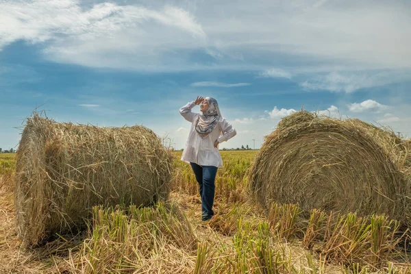 Asian Beautiful Woman Enjoy Posing Golden Rice Field Harvest Season — Stock Photo, Image