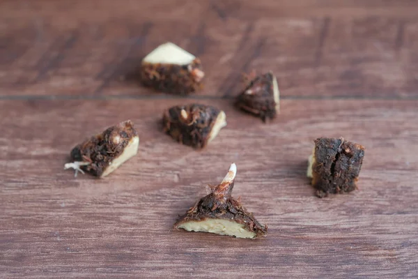 Caladium bicolor plant propagation by cutting rootstock.