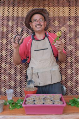 Asyalı erkekler, genç filizlerin kesimlerinden yeni bitkiler yetiştirerek bitki üretiyor..